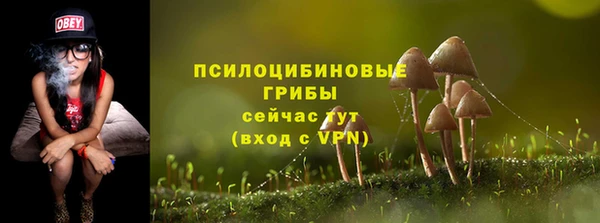 МДМА Арсеньев